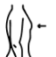 Aplatit les seins des hommes